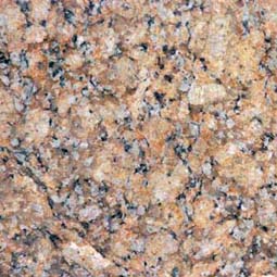 giallo-napolean-granite Slab  Tampabay